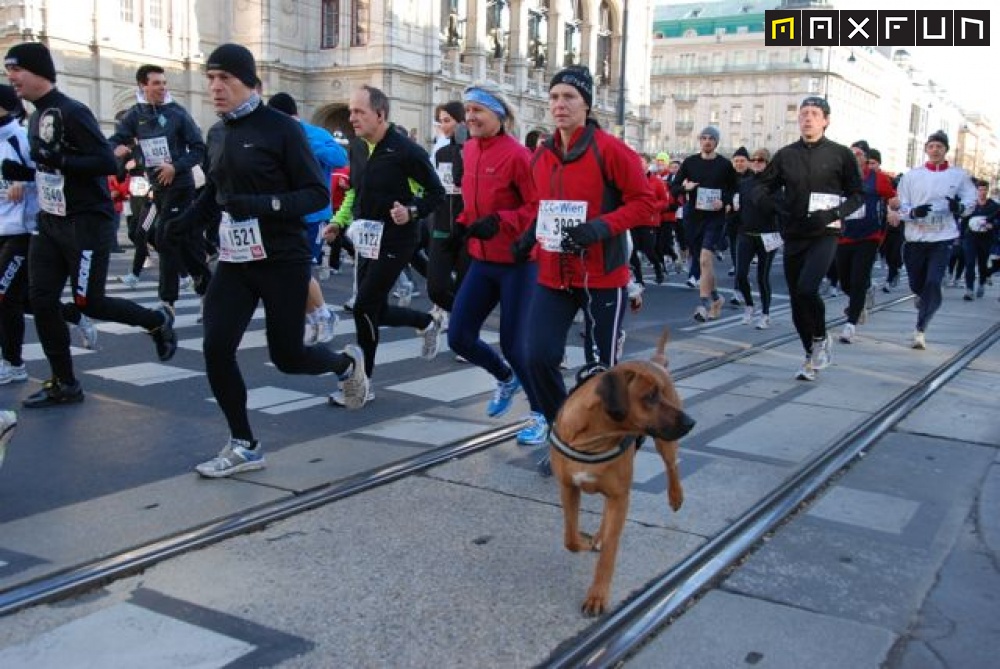 Foto silvesterlauf1_339.jpg