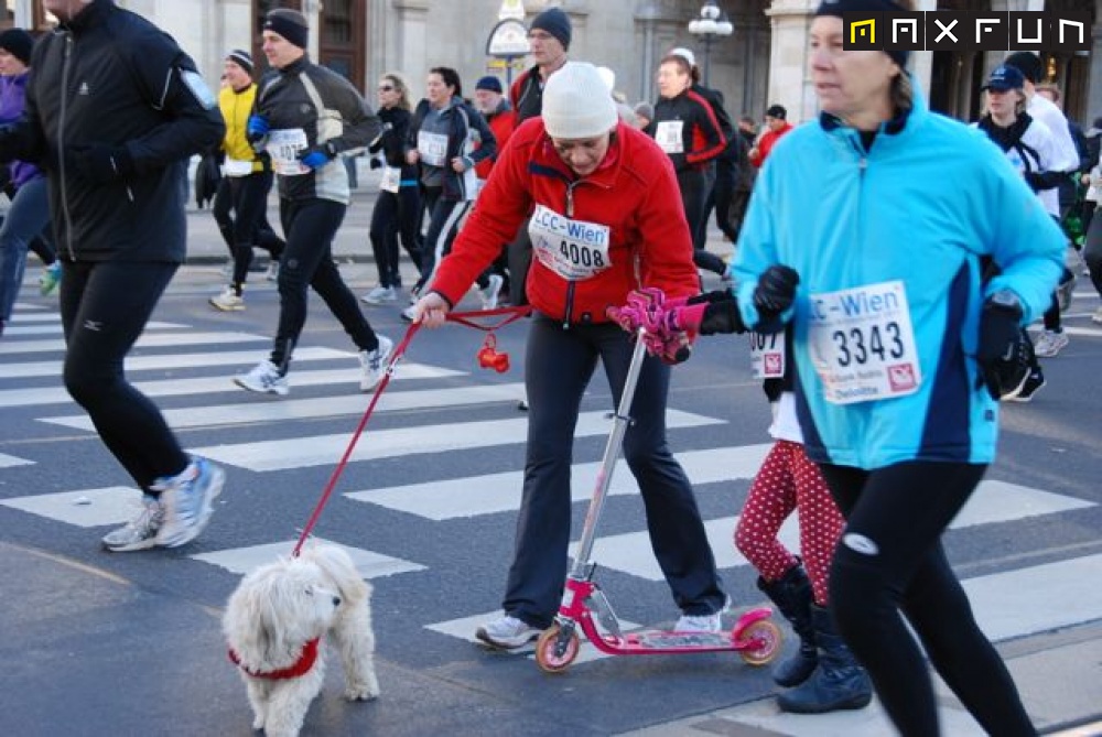 Foto silvesterlauf1_344.jpg