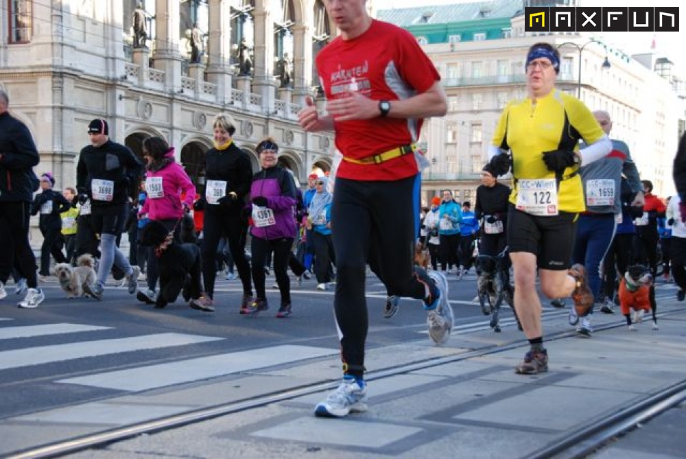 Foto silvesterlauf1_357.jpg