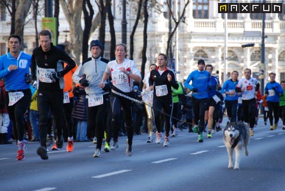 Foto silvesterlauf1_388.jpg