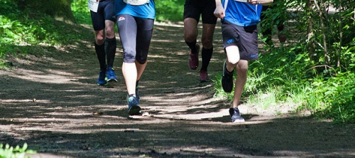 Laufen Im Englischen Garten Magazin 1 Laufsportplattform In